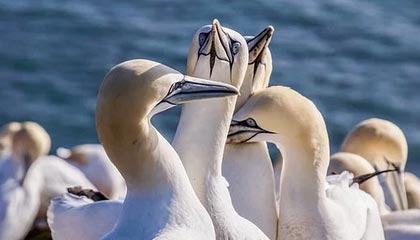 开云注册网址-上海男篮迎来新主教练，战术大调整，上海男篮最新主教练